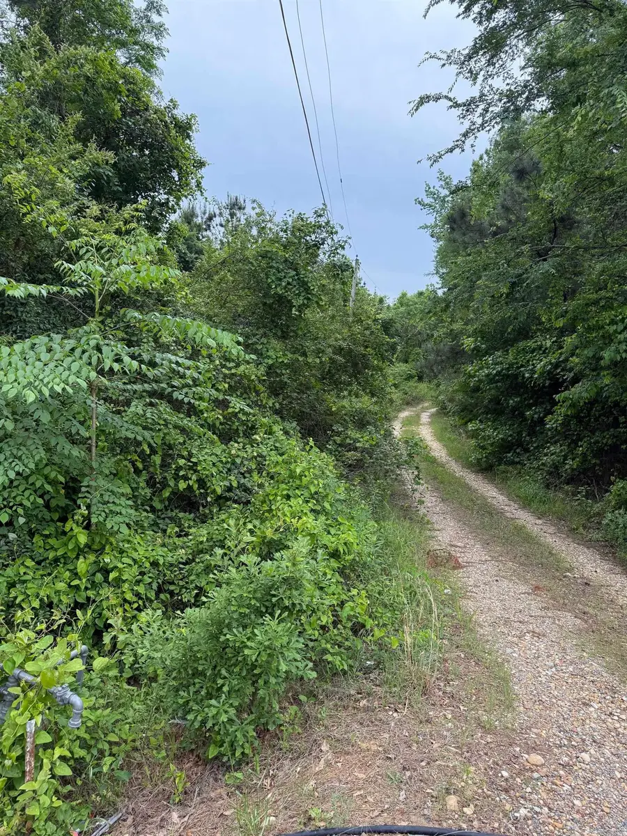 TBD Pine Street, Arkadelphia, AR 71923 - #3