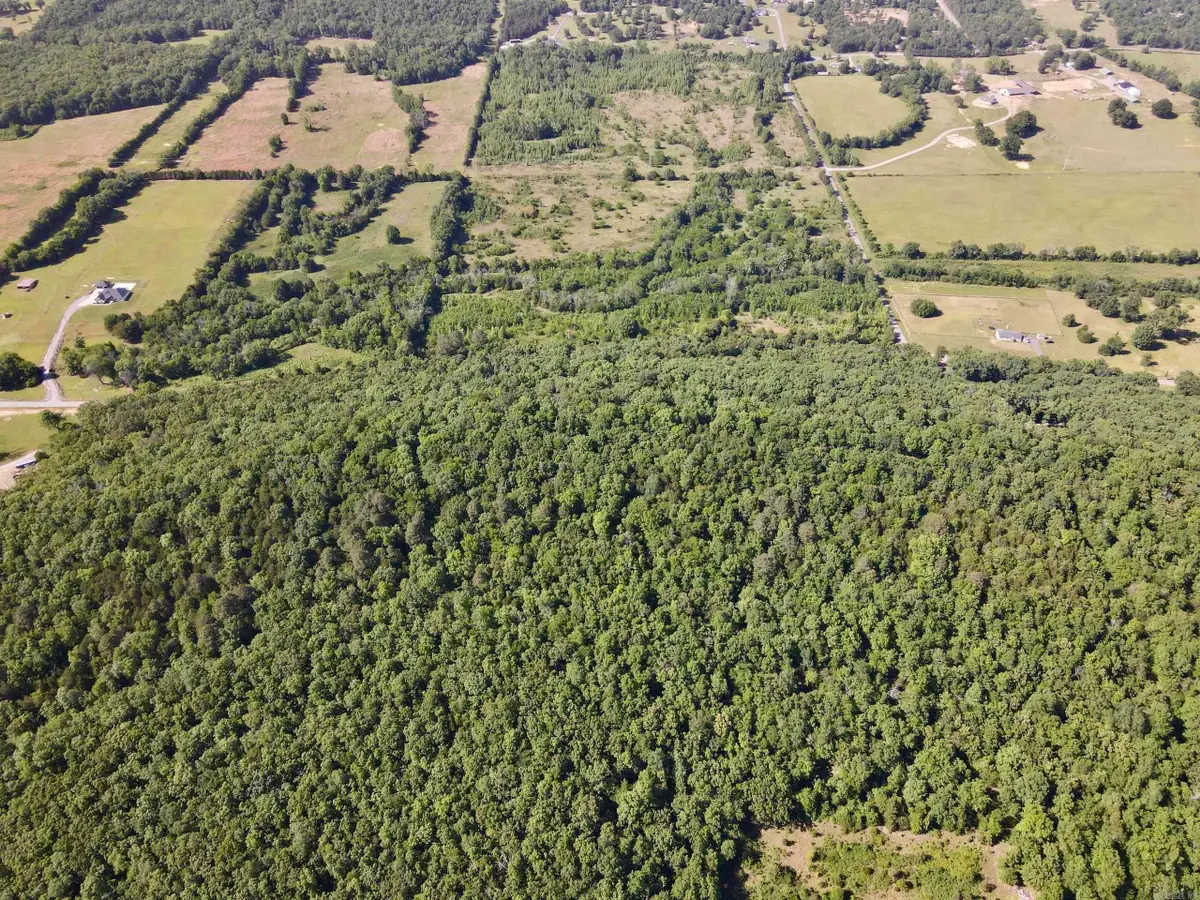 Address Withheld By Seller, Greenbrier, AR 72058 - #1