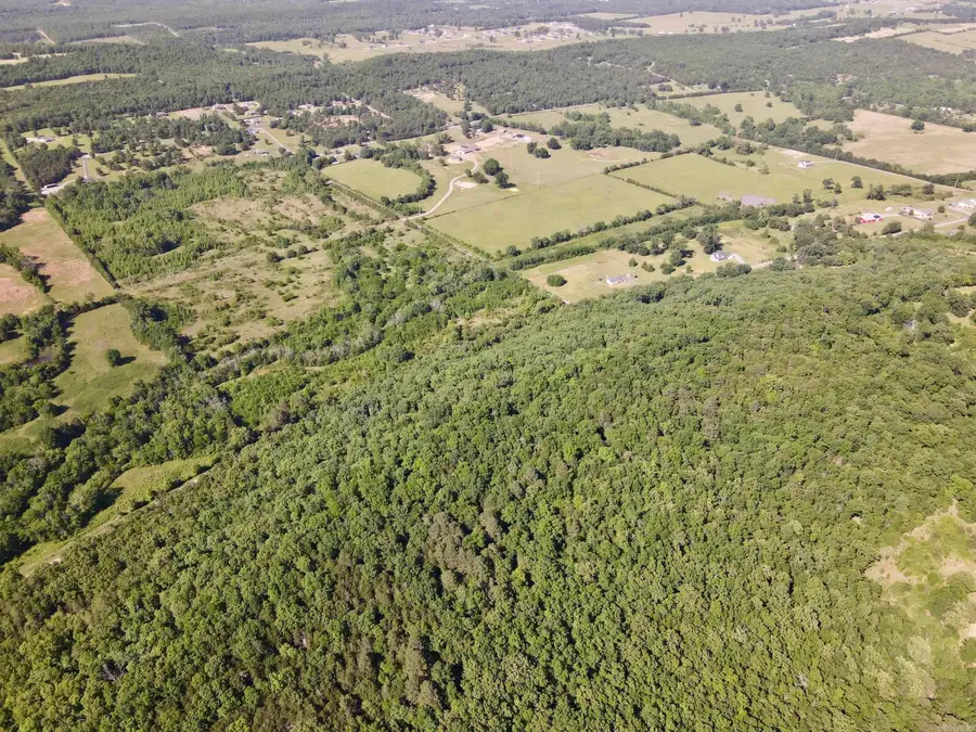 Address Withheld By Seller, Greenbrier, AR 72058 - #2