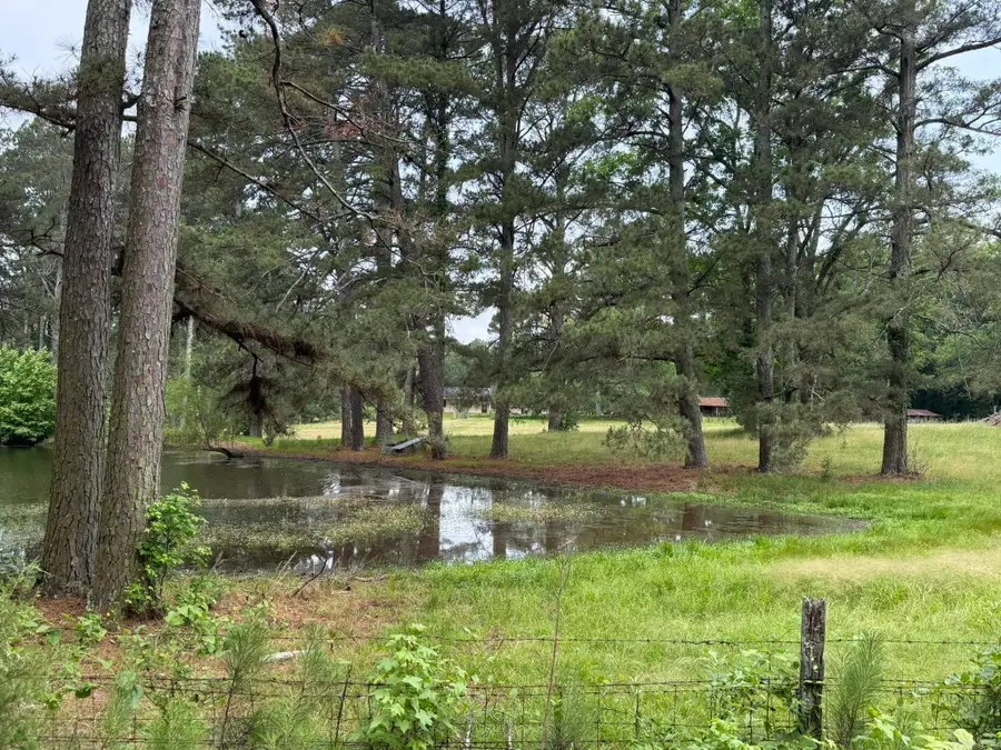 254 Edwards Road, Saline, AR 71851 - #3