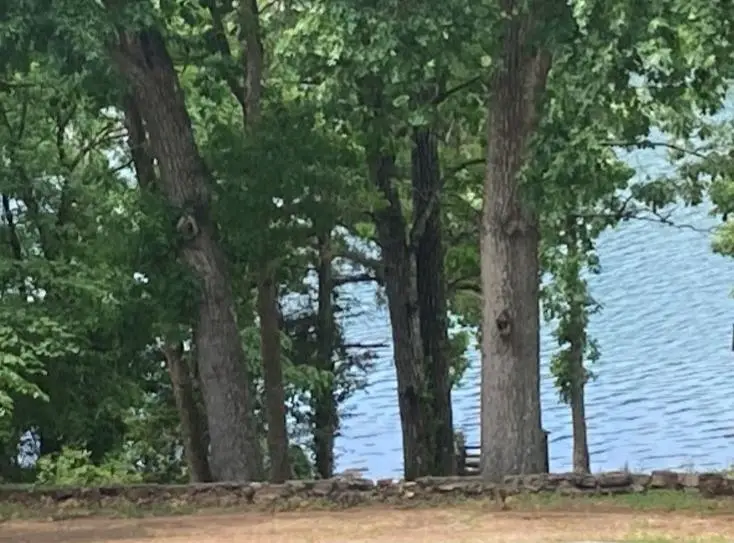61 E Lakeshore Drive, Cherokee Village, AR 72529 - #2