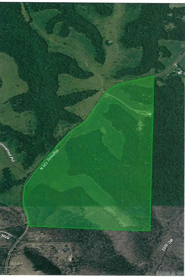 4815 Hwy 125 N, Yellville, AR 72687 - #1
