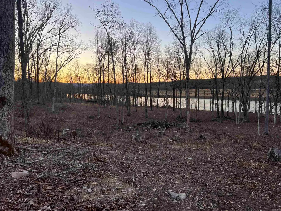 Lot 3 Mountain View Rd Road, Locust Grove, AR 72550 - #3