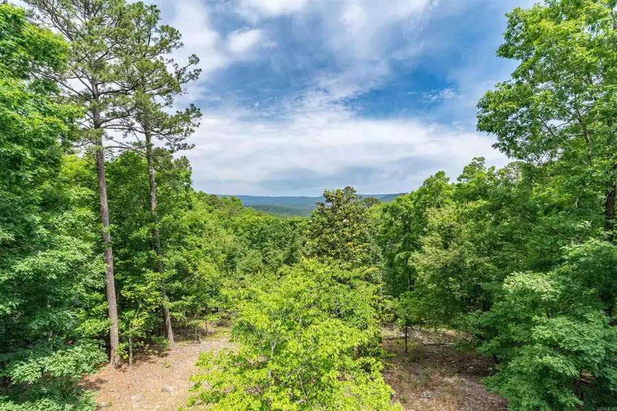 94 Mesero Way, Hot Springs Village, AR 71909 - #3