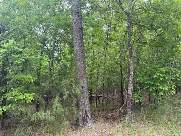 35 Archidona Circle, Hot Springs Village, AR 71909