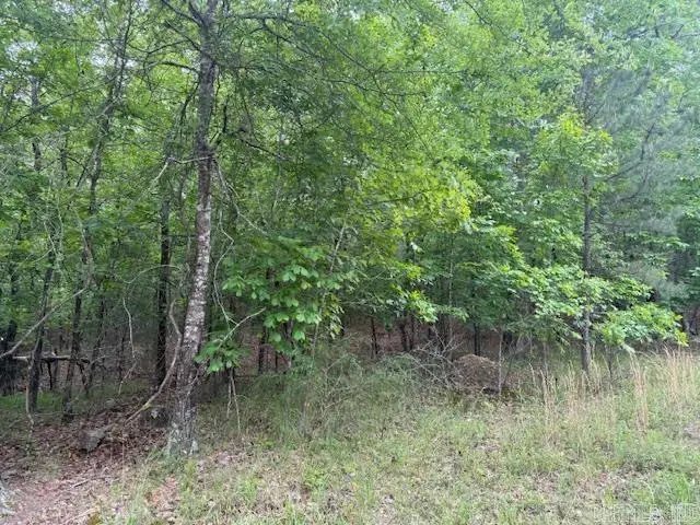 35 Archidona Circle, Hot Springs Village, AR 71909 - #3