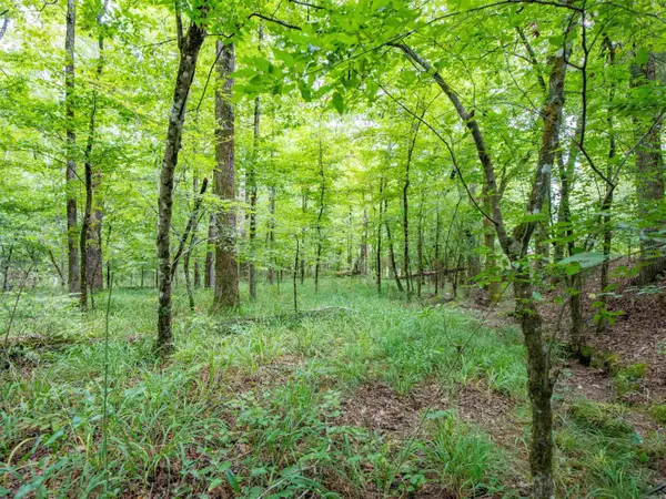 1 Camino Road, Hot Springs Village, AR 71909
