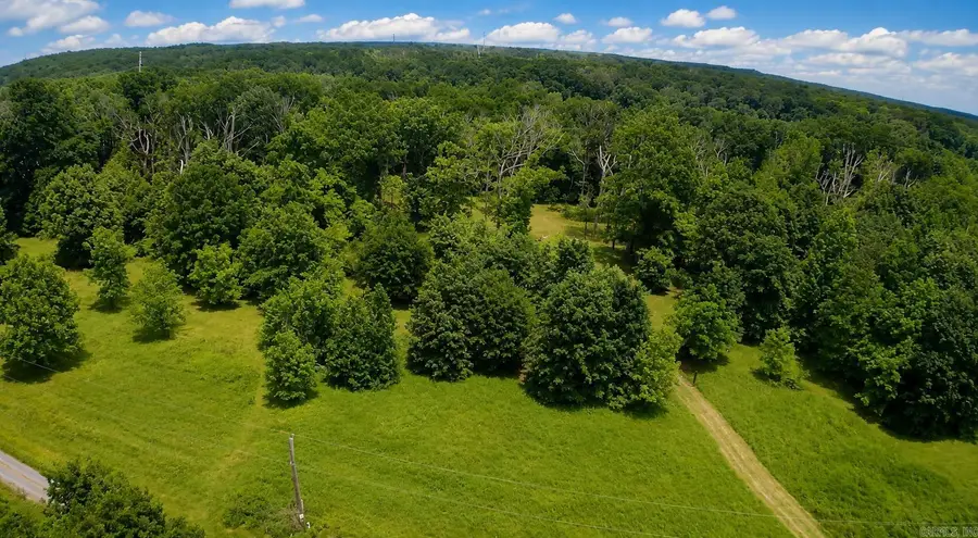 22 Pasilee Lane, Mayflower, AR 72106 - #3