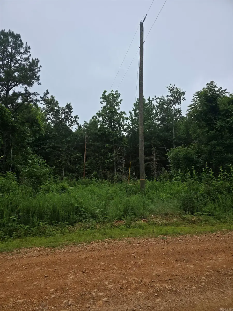 Lock 3 Road, Batesville, AR 72501 - #2