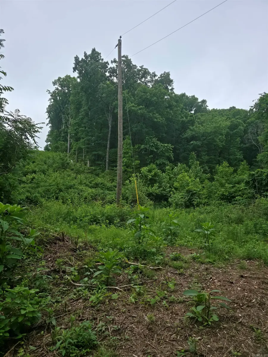 Lock 3 Road, Batesville, AR 72501 - #3