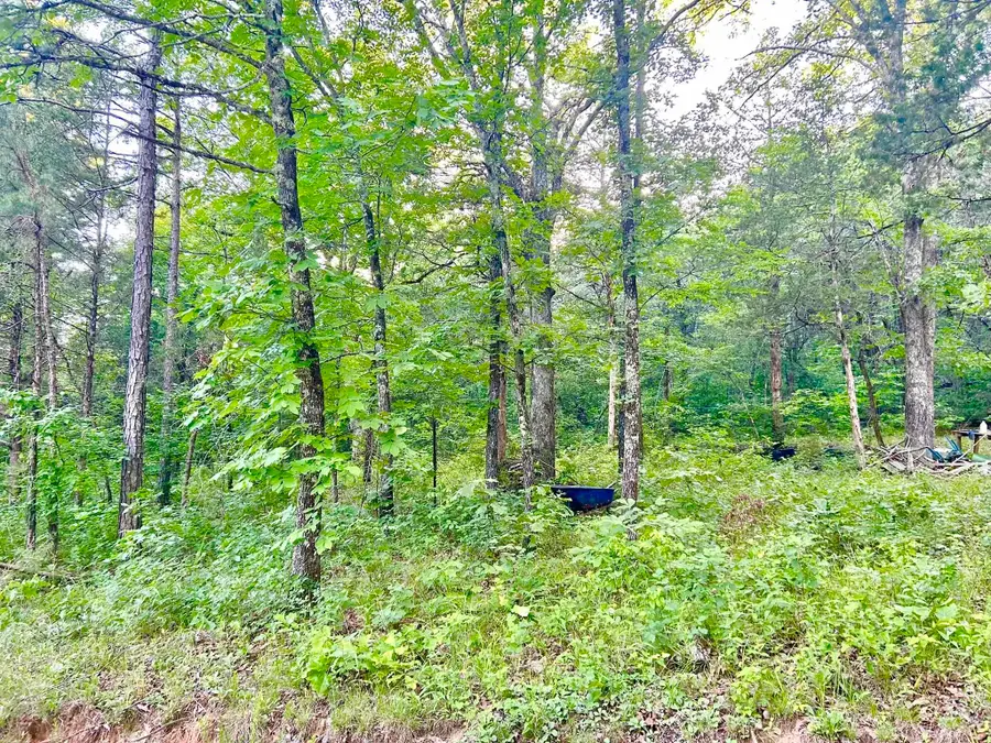 Lot 8 and 9 Ripplin Shoals, Melbourne, AR 72556 - #2
