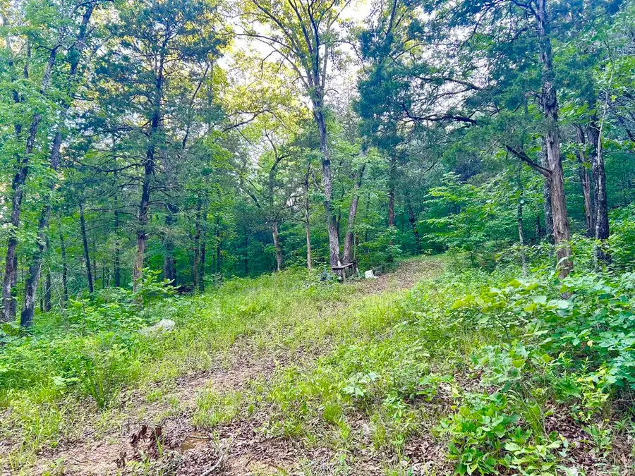 Lot 8 and 9 Ripplin Shoals, Melbourne, AR 72556 - #3