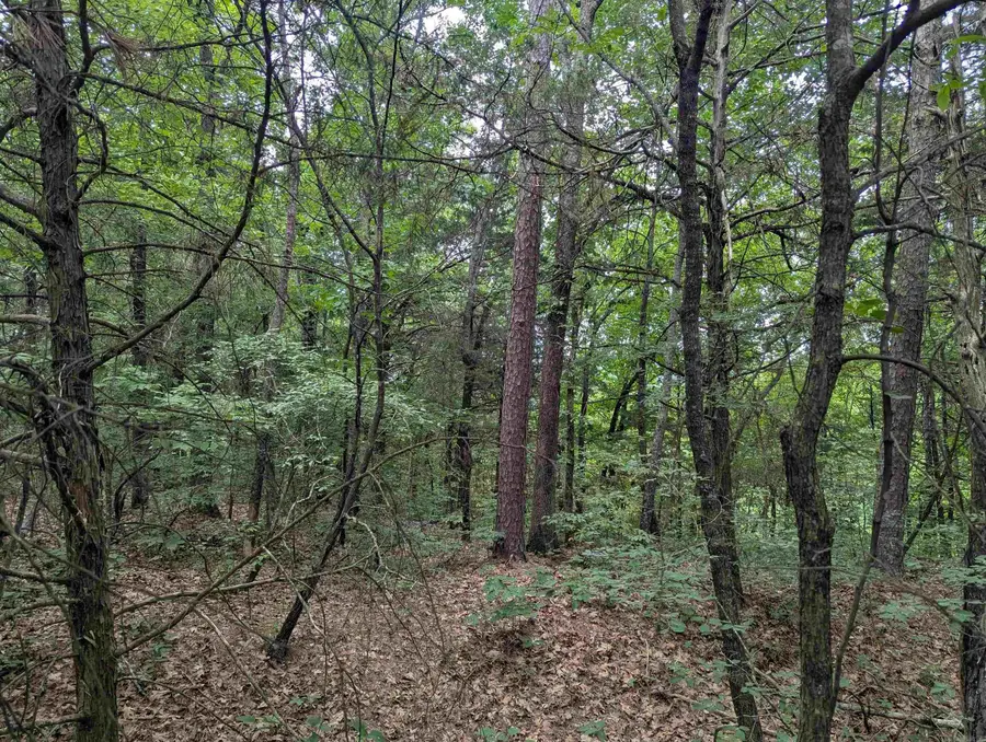 00 Pangburn Road, Pangburn, AR 72121 - #3