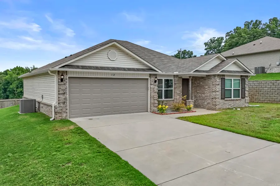 12 Erwin Dr, Austin, AR 72007 - #2