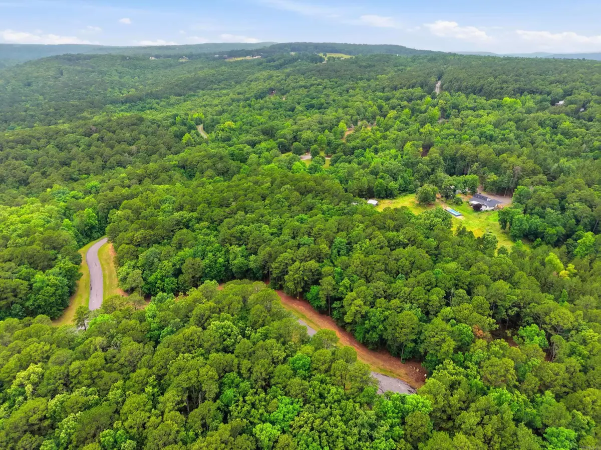 Lot 4 Edgewater Drive, Edgemont, AR 72044 - #1
