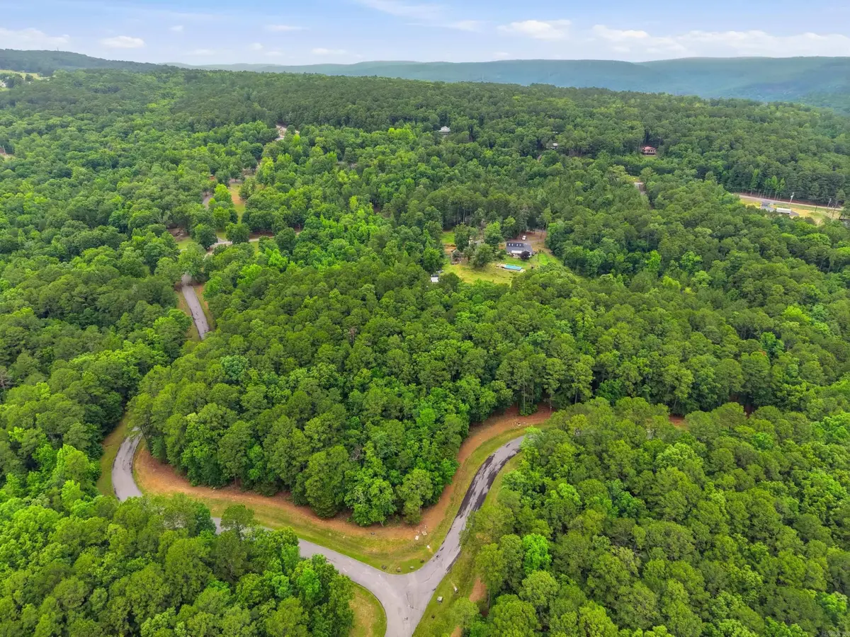 Lot 5 Edgewater Drive, Edgemont, AR 72044 - #1