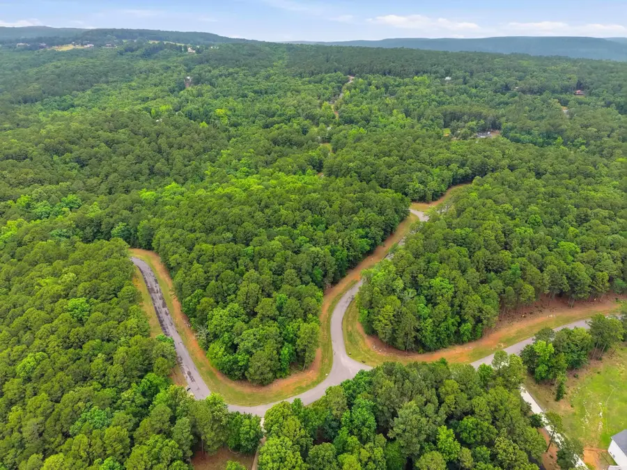 Lot 5 Edgewater Drive, Edgemont, AR 72044 - #2