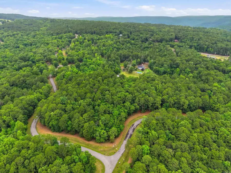 Lot 7 Summerwind Drive, Edgemont, AR 72044 - #2
