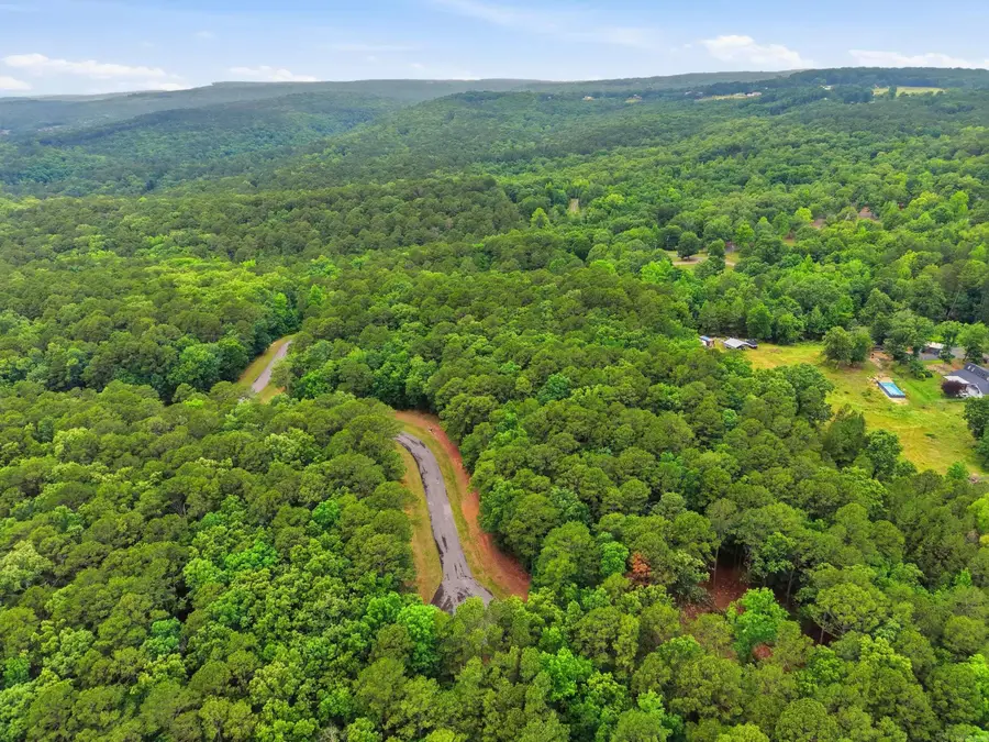 Lot 8 Summerwind Drive, Edgemont, AR 72044 - #3