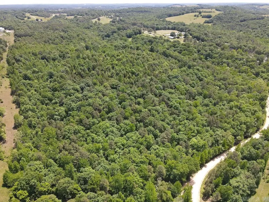1177 Ash Trl, Melbourne, AR 72556 - #3