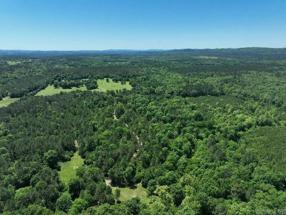 Address Withheld By Seller, Point Cedar, AR 71921 - #1