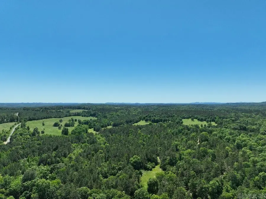 Address Withheld By Seller, Point Cedar, AR 71921 - #2