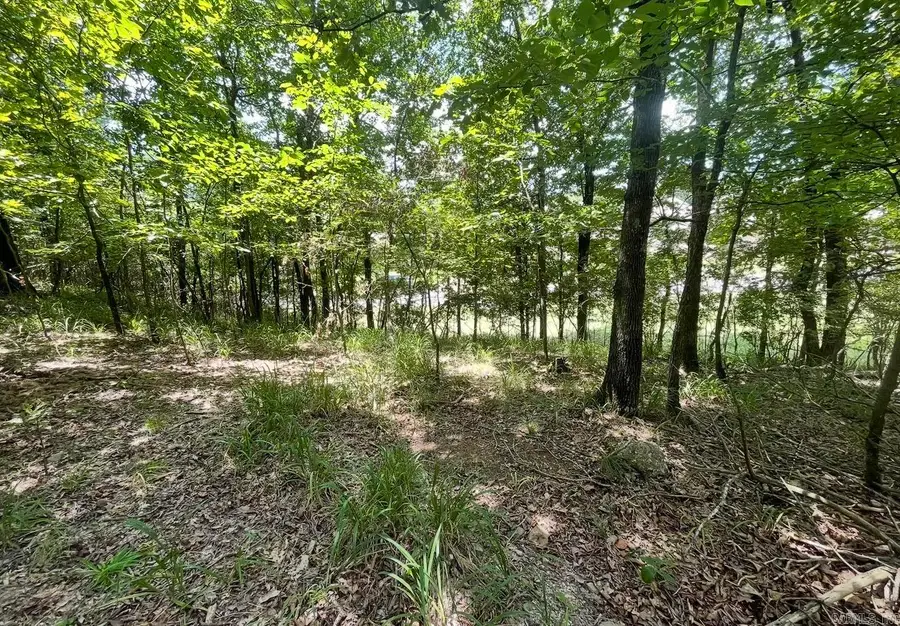 Lot #36 Saratoga, Hot Springs, AR 71901 - #2