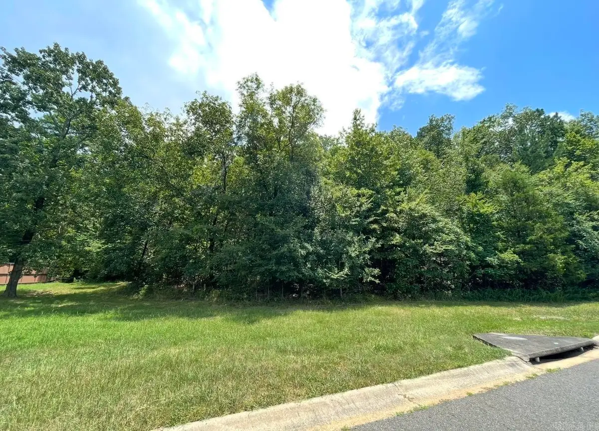 Lot #37 Saratoga, Hot Springs National Park, AR 71901 - #1