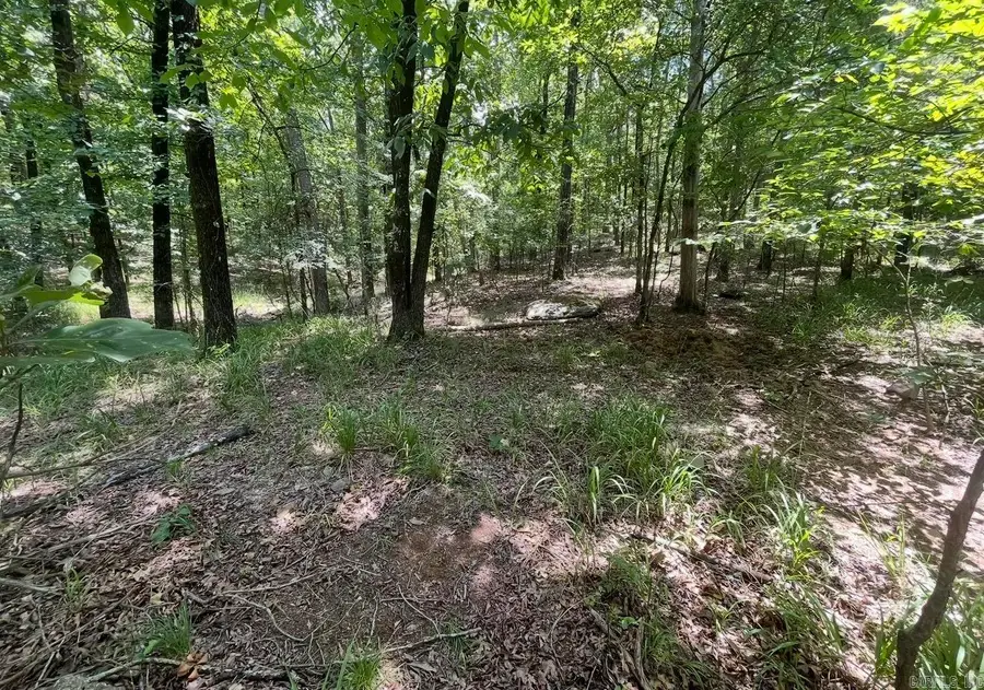 Lot #37 Saratoga, Hot Springs National Park, AR 71901 - #2