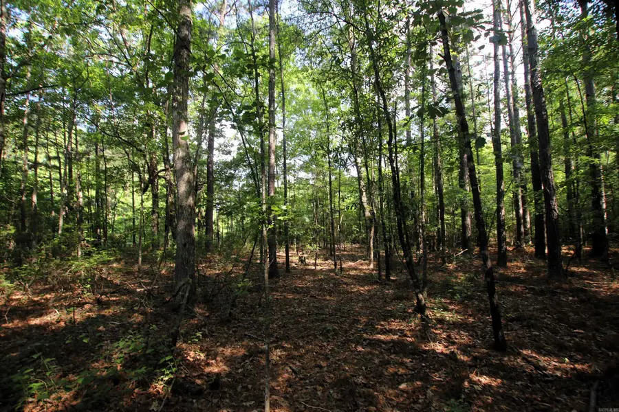 000 Wilma Sue Lane, Hensley, AR 72065 - #3
