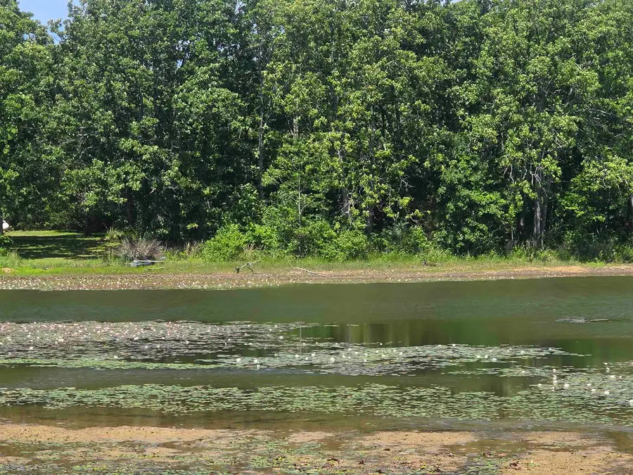 L-11, B-9 N Lake Drive, Horseshoe Bend, AR 72512 - #2