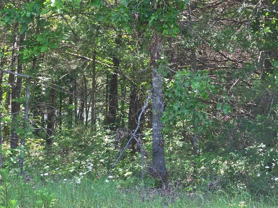 L-11, B-9 N Lake Drive, Horseshoe Bend, AR 72512 - #3