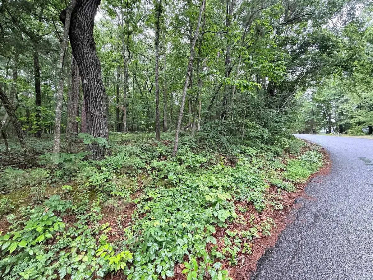 00 Davidson Cir., Greers Ferry, AR 72067 - #1