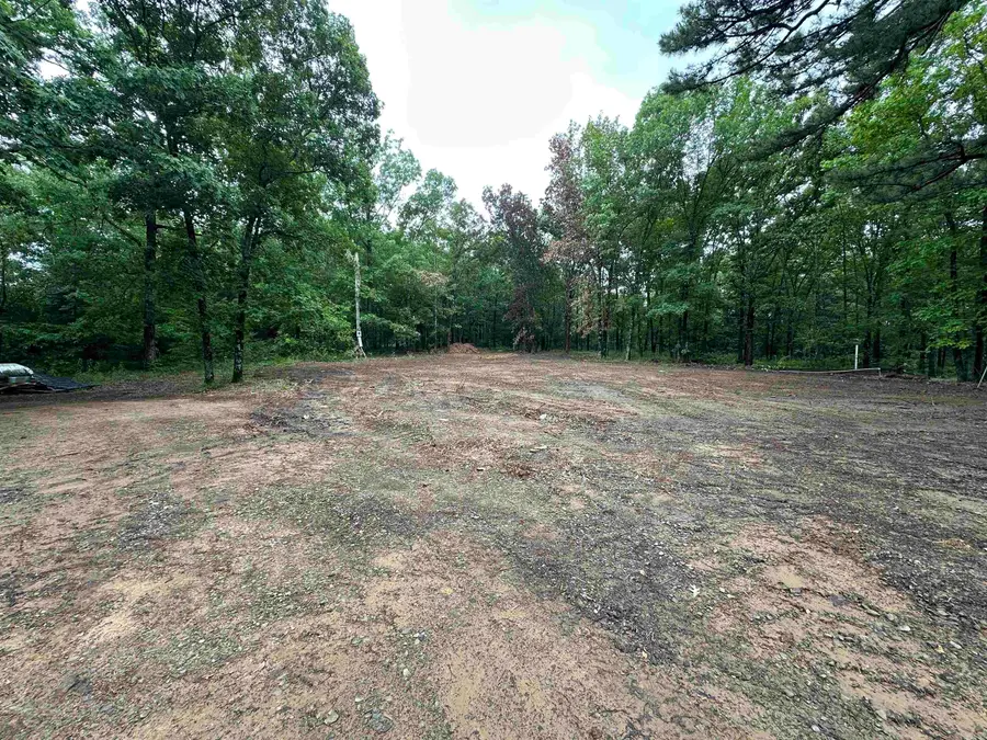 59 Bryant, Greers Ferry, AR 72067 - #3