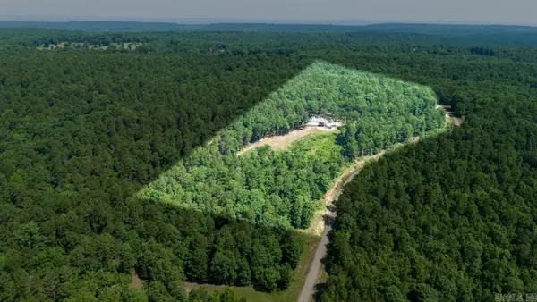 40220 Reece Creek Rd, Bigelow, AR 72016