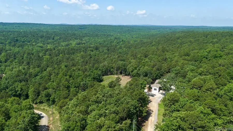 40220 Reece Creek Rd, Bigelow, AR 72016 - #2