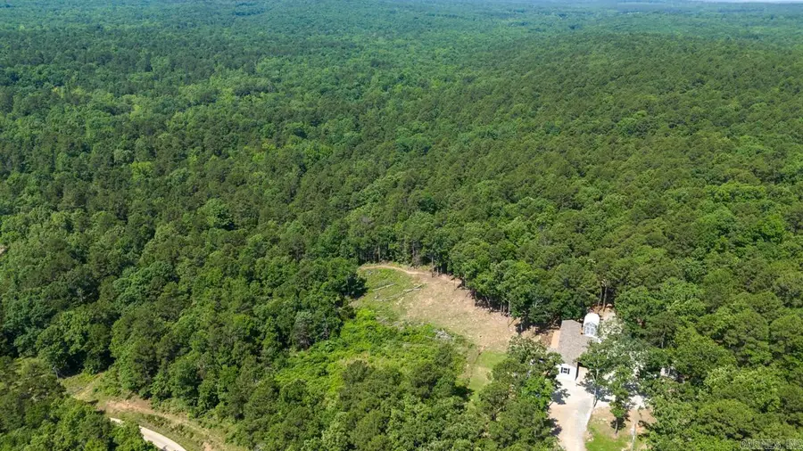 40220 Reece Creek Rd, Bigelow, AR 72016 - #3