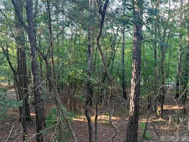 26 Piocha Lane, Hot Springs Village, AR 71909 - #1