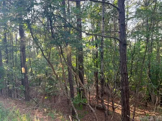 26 Piocha Lane, Hot Springs Village, AR 71909 - #2