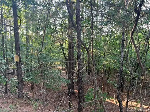 26 Piocha Lane, Hot Springs Village, AR 71909 - #3