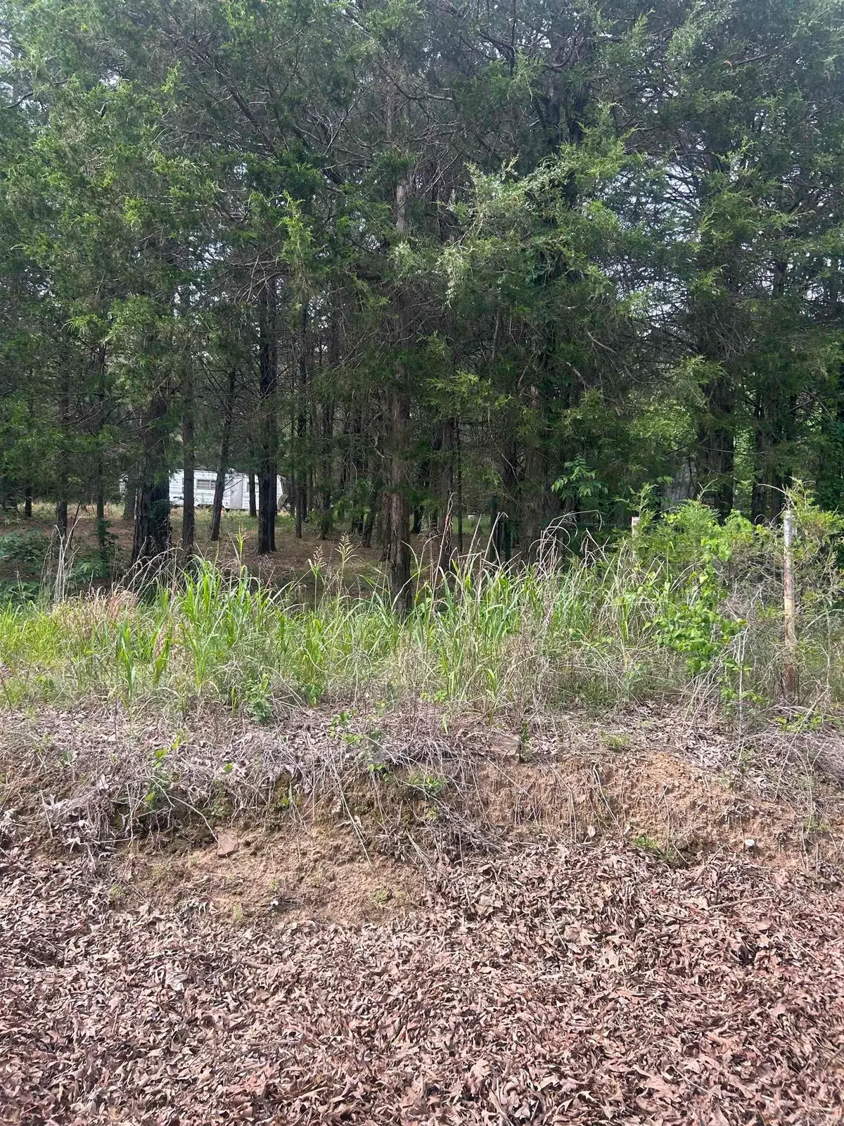 Address Withheld By Seller, Pleasant Plains, AR 72568 - #1