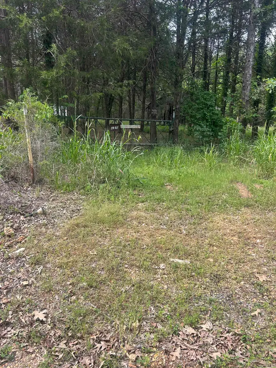 Address Withheld By Seller, Pleasant Plains, AR 72568 - #2