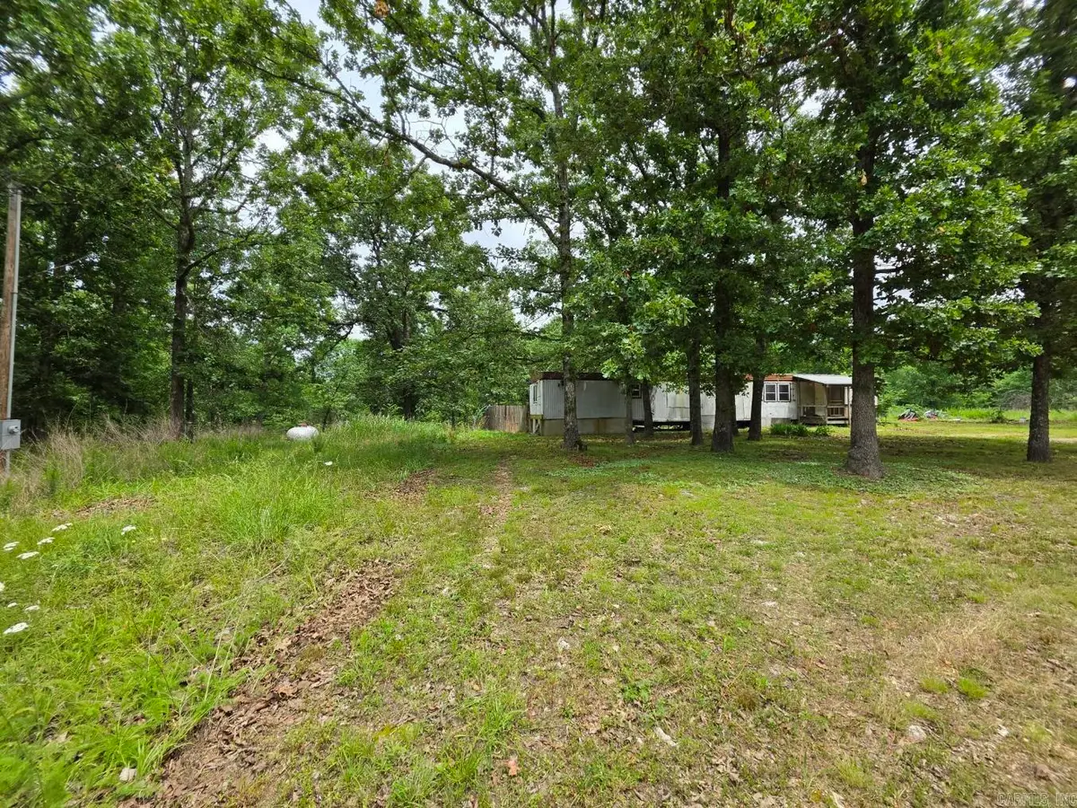 295 Black Oak Road, Mammoth Spring, AR 72554 - #1