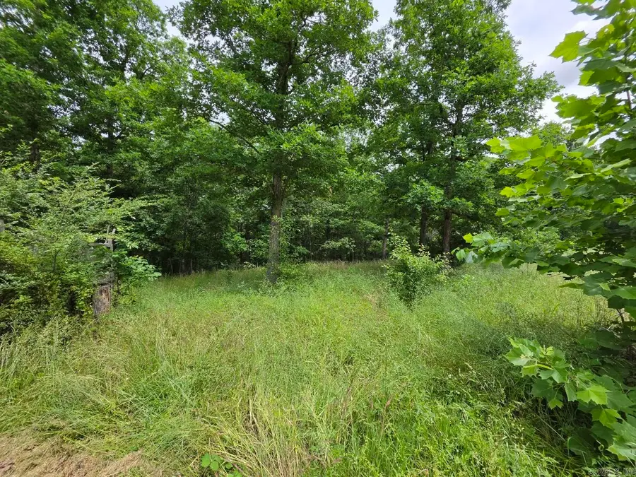295 Black Oak Road, Mammoth Spring, AR 72554 - #2