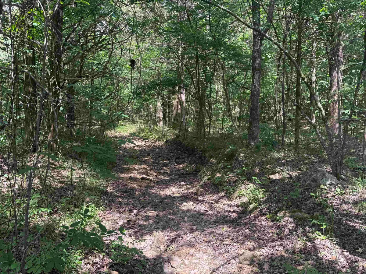TBD Bell Foley Road, Poughkeepsie, AR 72569 - #1