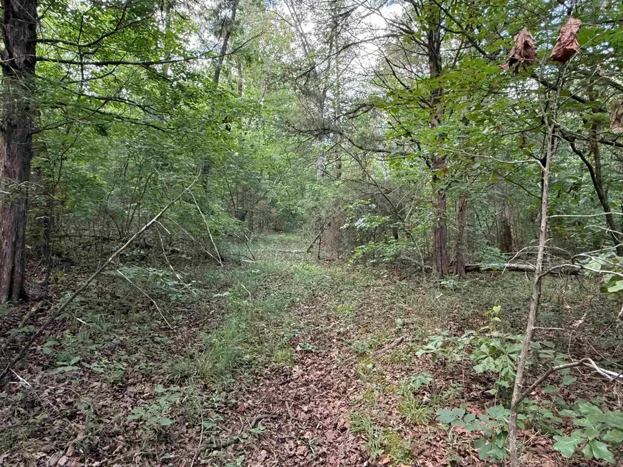 TBD Bell Foley Road, Poughkeepsie, AR 72569 - #3