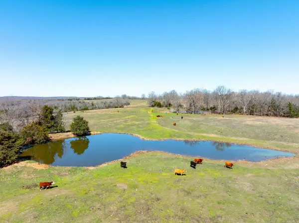 Cr 232, Henderson, AR 72544