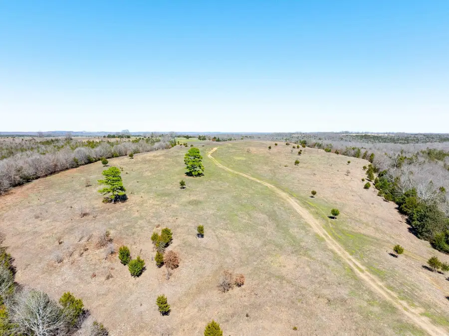 Cr 232, Henderson, AR 72544 - #2