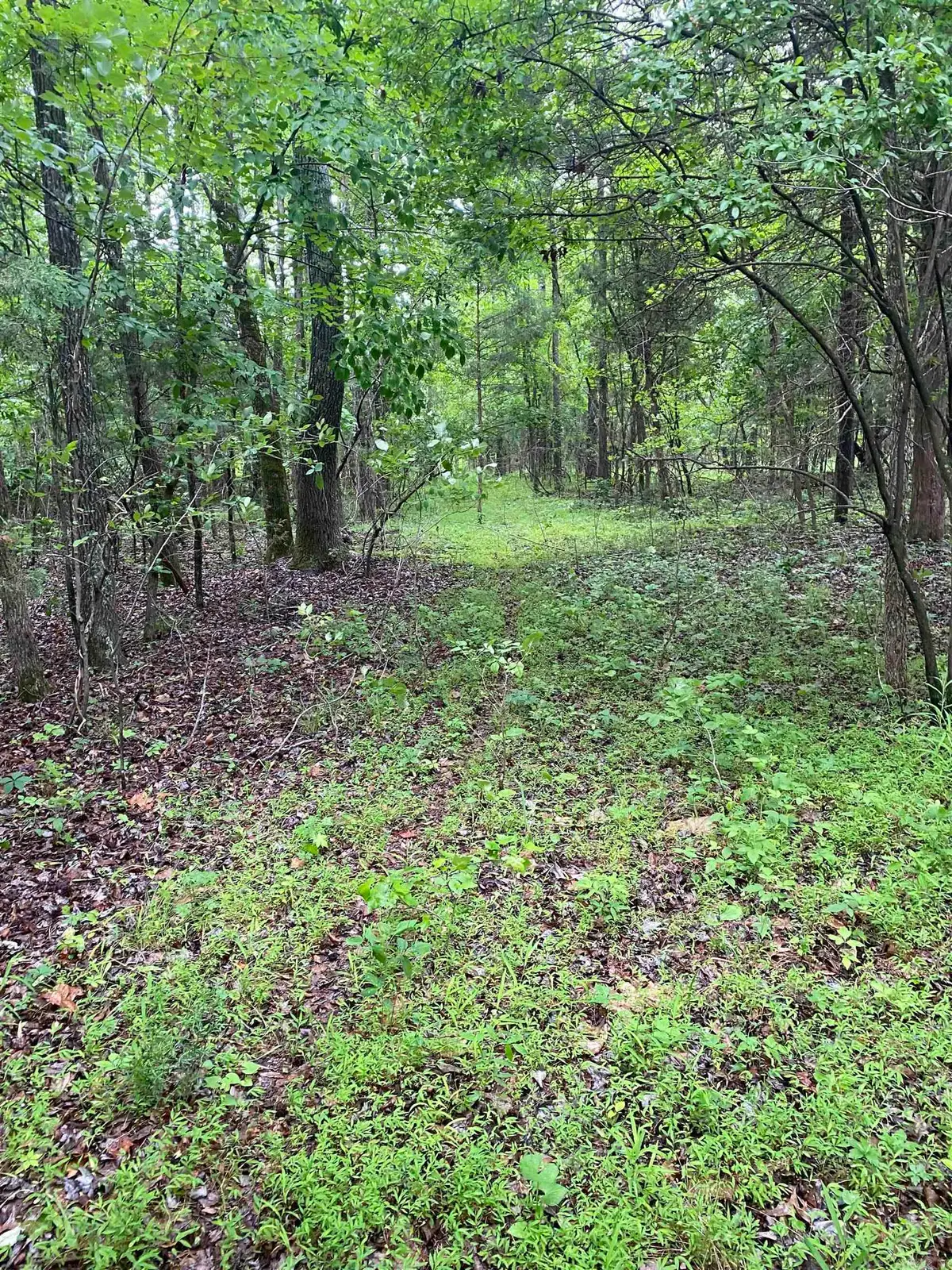 40 acres County Road 326, Jonesboro, AR 72401 - #1