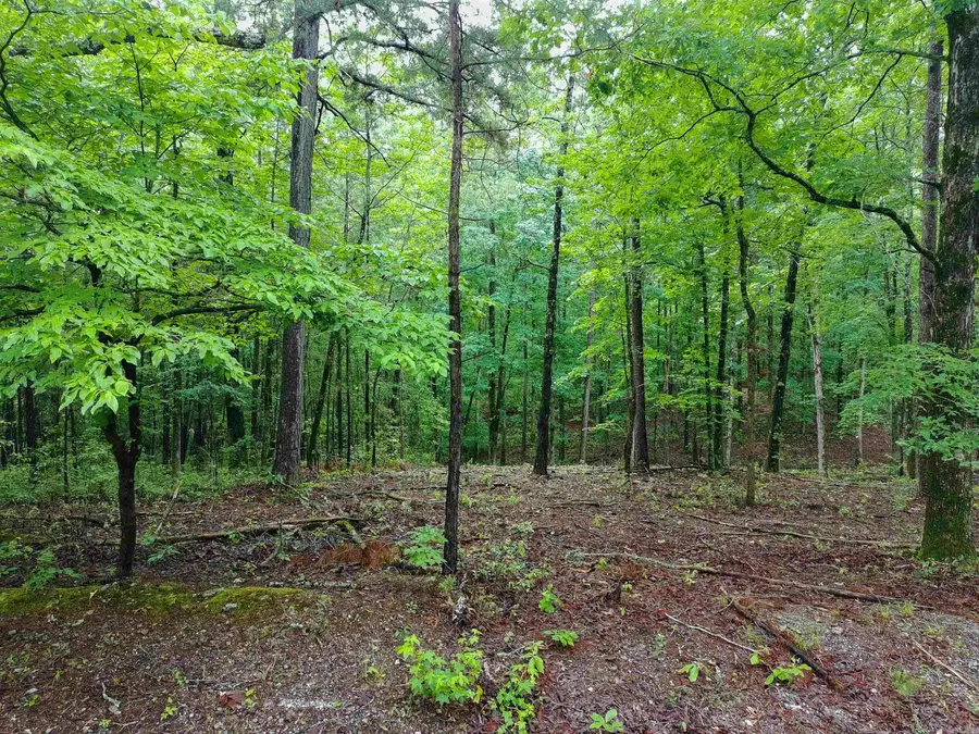 Address Withheld By Seller, Hot Springs, AR 71901 - #2